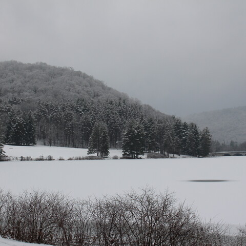 Allegany State Park