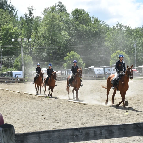 Horse Show at the Cattaraugus County Fair