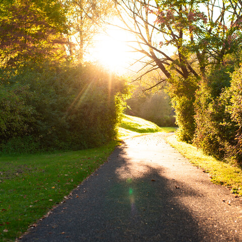 Biking Path at Allegany State Park