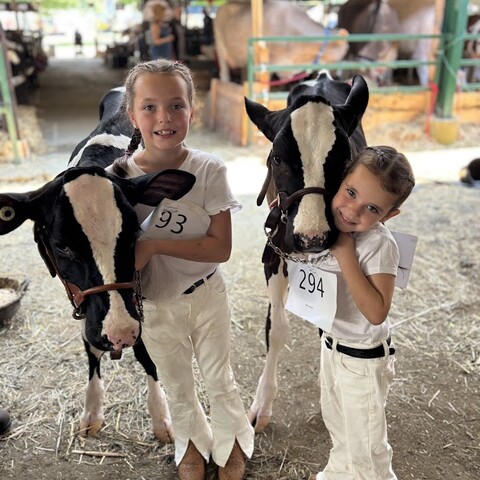 Two young girls showing their Calves at the Cattaraugus County Fair