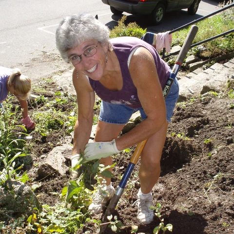 Public Lands Day, ASP
