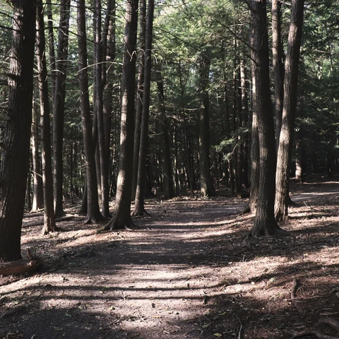 Pfeiffer Nature Center