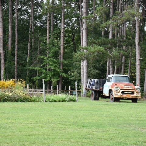 Truck and flowers at Burdick Blueberries