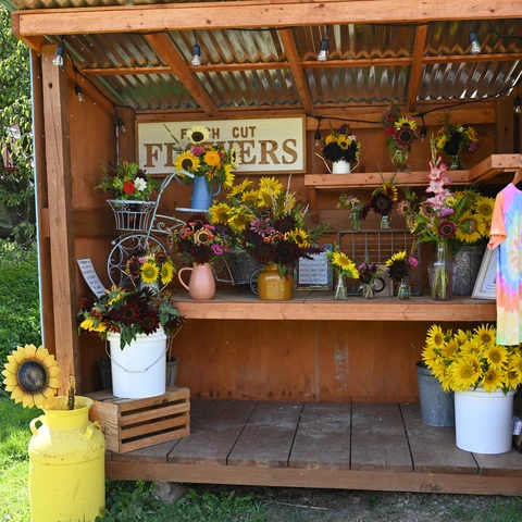 Bouquets at The Songin Farm
