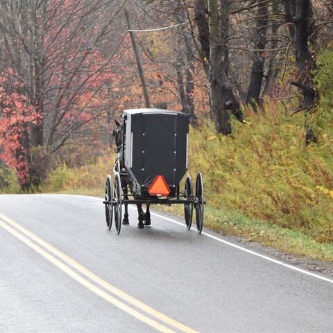 Horse and buggy on the road along New York's Amish Trail