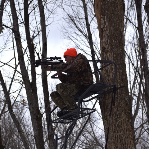 Hunting from tree stand in Cattaraugus County