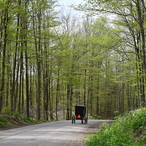 Horse and buggy's along the Amish Trail