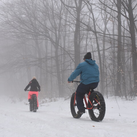 Fat Bikes along trail in Allegany State Park