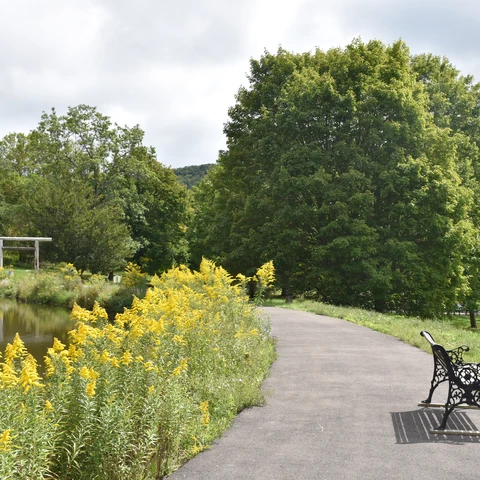 Path in Nannen Arboretum