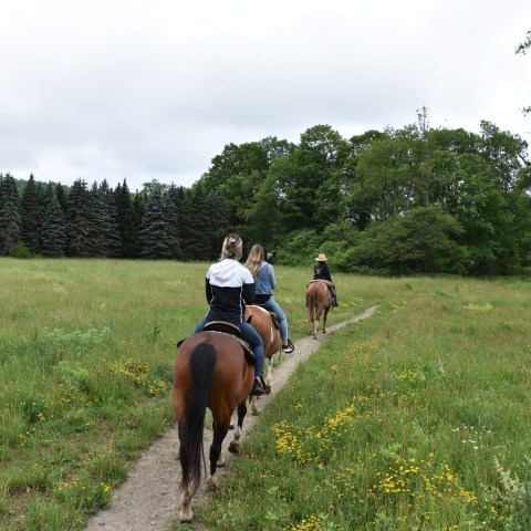 Horseback riding with The Crosspatch