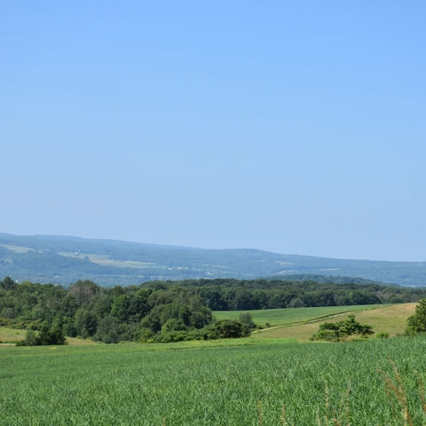 Scenic view along New York's Amish Trail