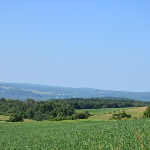 Scenic view along New York's Amish Trail