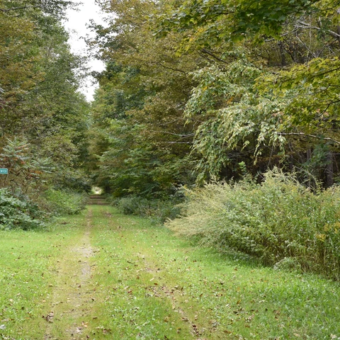 County Center access on Pat McGee Trail
