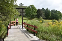 Walking at Nannen Arboretum