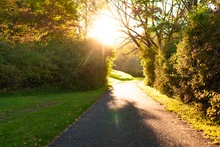 Red House paved Path