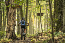 Mountain Biking at HoliMont by Mike Basher
