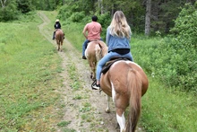 A horseback riding guide, man on a half-belgian horse, and a woman on a thorough bred horse, with the top of a horse's head at the bottom of the photo.Horseback ride to the Elkdale State Forest with the Crosspatch Horse Ranch